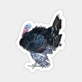 Retro Vintage Turkey Jive Thanksgiving Magnet