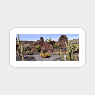 Cactus garden, Lanzarote (C010/3920) Magnet