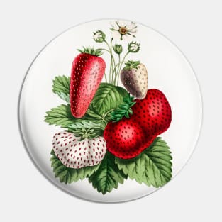 Hand drawn strawberry Pin