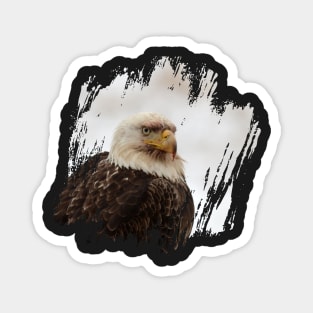 American Eagle Magnet