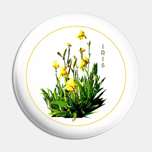 Flower Series  - Iris with transparent background Pin