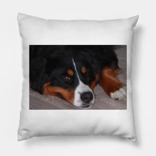 Not a Thought Behind thoseEyes Pillow