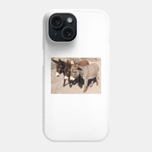 Wild burros, donkeys, wildlife, Wild Burro Buddies Phone Case