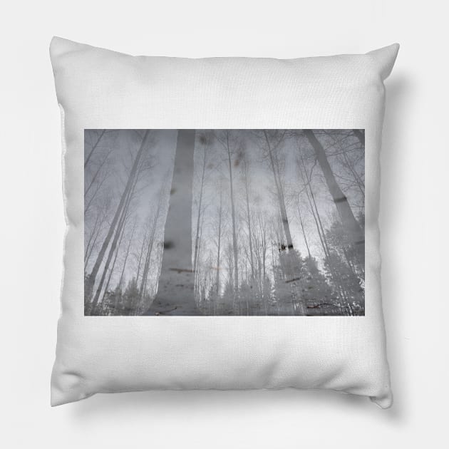 Landscape reflection from wet ice surface Pillow by Juhku