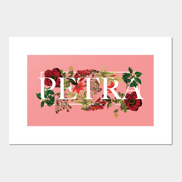 Get Wallpaper Petra Floral Art Jane The Virgin Jane The Virgin Poster Und For iPhone