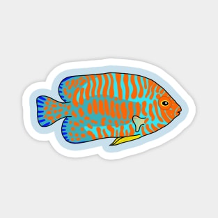Hawaii Potters Angelfish Magnet