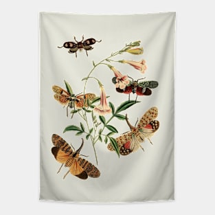 Moths and  Flower Nature Illustration Tapestry