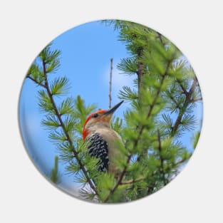 Michigan Red-Bellied Woodpecker Pin