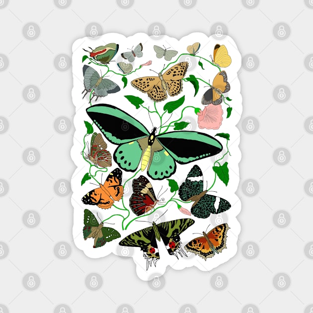 Butterflies Magnet by DashingGecko