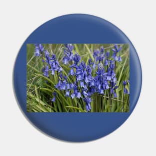 English Wild Flowers - Clump of Bluebells Pin
