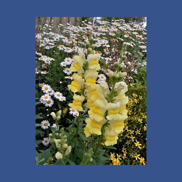 Snapdragon Flower Yellow by SarahRajkotwala