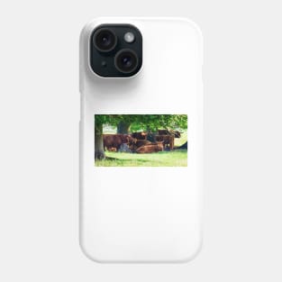 Highland cattle cows family having a rest in the cool shadow under trees Phone Case