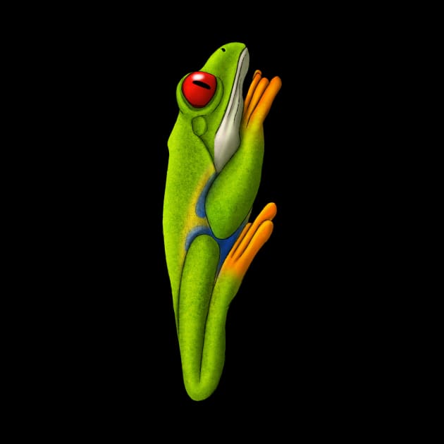 Red Eyed Tree Frog by Wilderness Insider