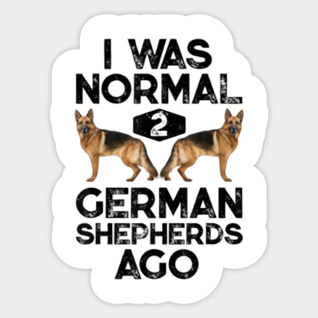 The Best Dog Names For German Shepherds Funny Dog Memes Dog