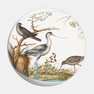 Avocet with Two Other Birds (1575–1580) Pin