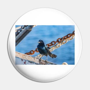 Fishing Bird on a fishing boat Pin