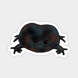 Black Rain Frog Magnet