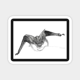 Bat sketch greeting card by Nicole Janes Magnet