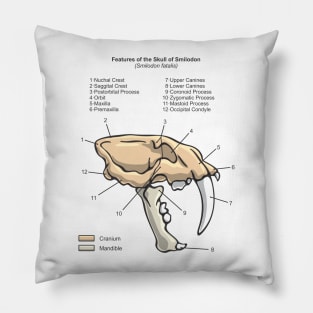 Smilodon Skull Diagram Pillow