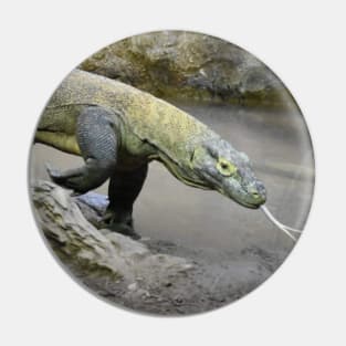 Komodo dragon Pin