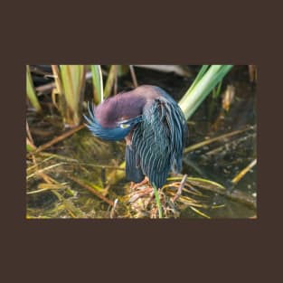 Preening Green Heron T-Shirt