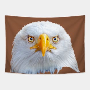 Bald Eagle Stare Tapestry