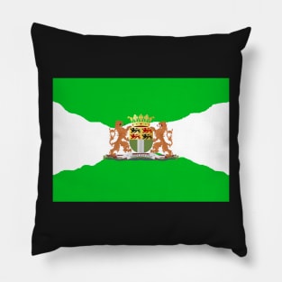 Curving Flag of Rotterdam Pillow