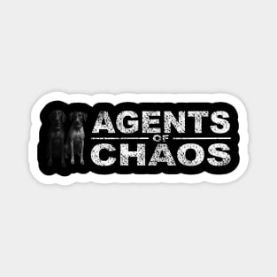 Agents of Chaos Magnet