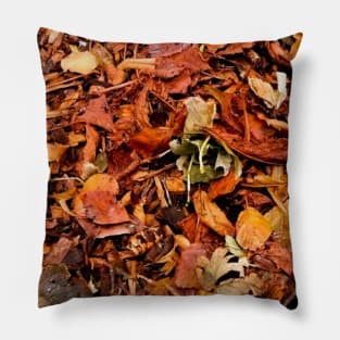 Autumn leaves Pillow