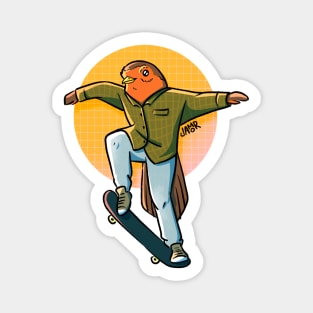 Skate Robin Magnet