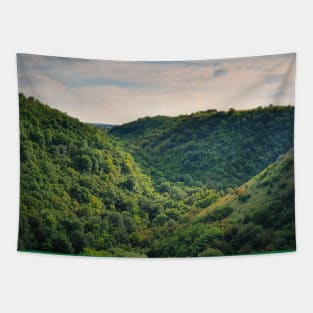 forest on the hills Tapestry