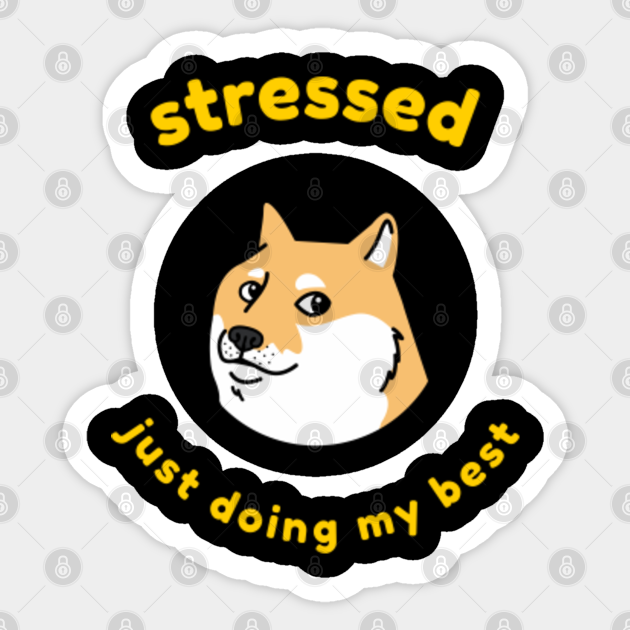 funny shiba inu