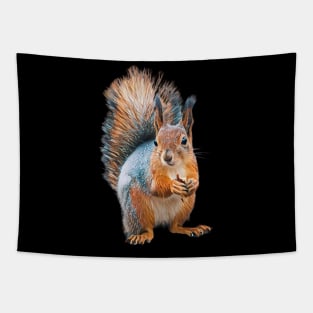 Squirrel - Woodland Themed Kids Room, Funny Gifts For Forester, Cute Animals Tapestry