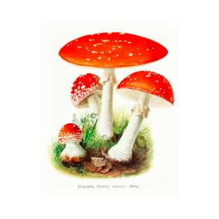 Toadstool illustration T-Shirt