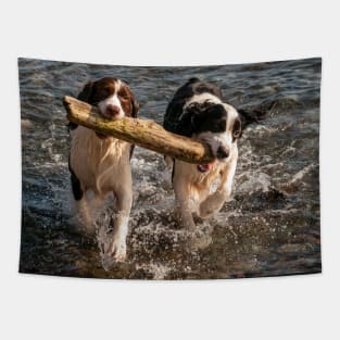 Springer Spaniels Working Together Tapestry