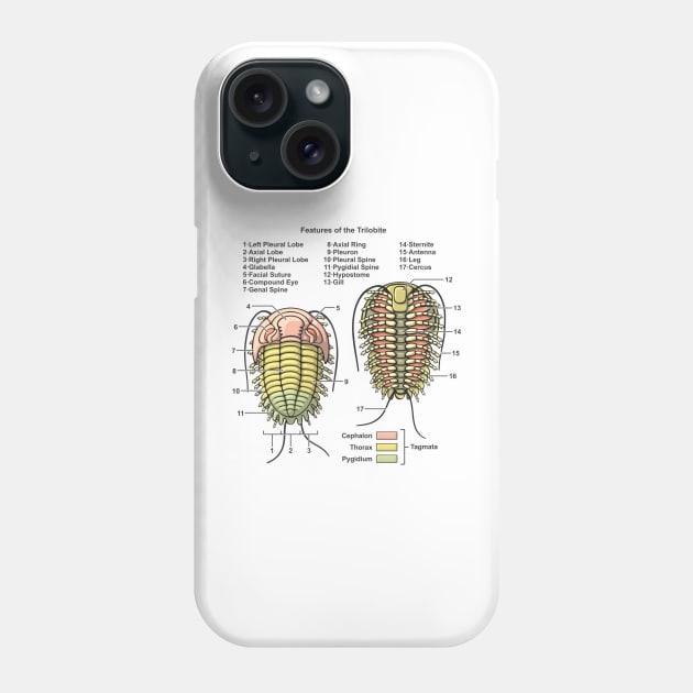 Trilobite Morphology Diagram Phone Case by taylorcustom