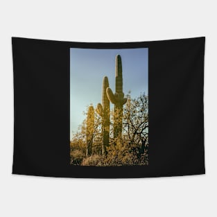 Three Saguaros Tapestry