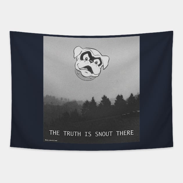 The Truth is Snout There Tapestry by Pop Wasteland