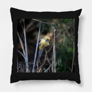 Yellow Rosella Pillow