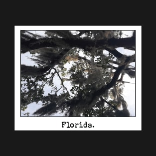 Florida at a Glance T-Shirt