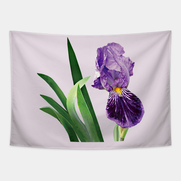 Irises Striped Purple Iris Iris Tapestry Teepublic