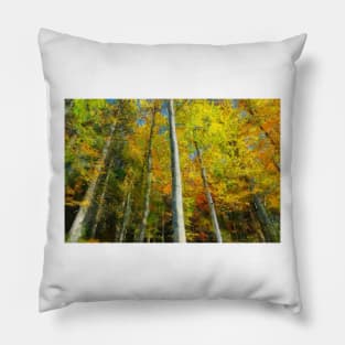 Painted color trees Pillow