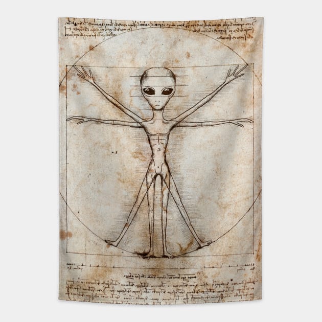 Vitruvian new arrivals man tapestry