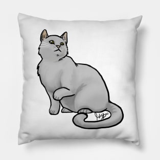 Cat - Eurpoean Shorthair - Gray Pillow