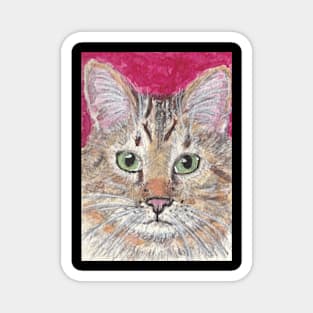 Tabby cat face Magnet