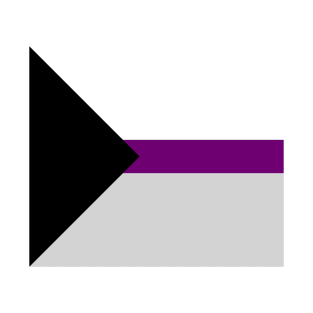 Demisexual flag 2 T-Shirt