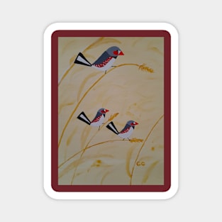 Retro style Australian Zebra Finches Magnet