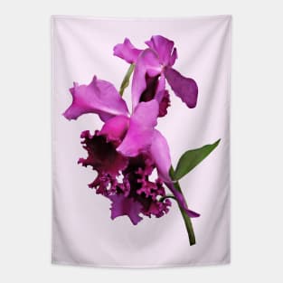 Orchid Harold Carls Tapestry