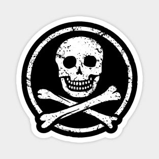 Skull & Crossbones Magnet