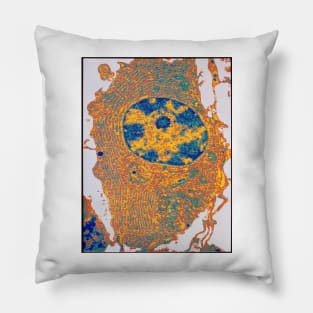 Human cell (G450/0038) Pillow